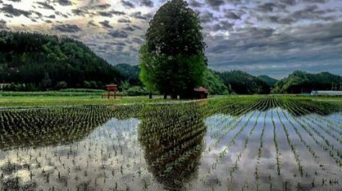 明鏡止水～黒土稲荷神社～