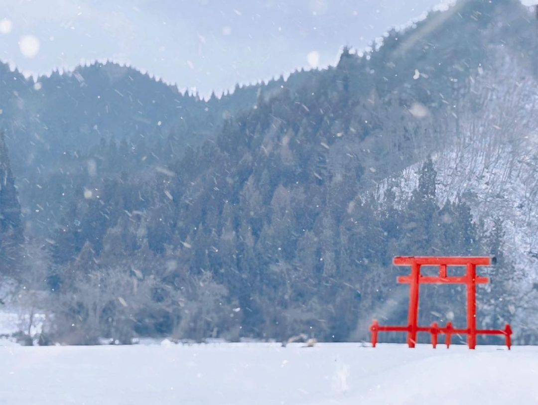 雪中の黒土稲荷神社の鳥居