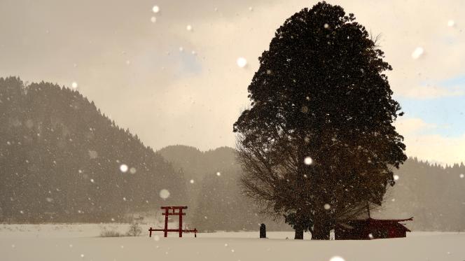 黒土稲荷神社の雪景色