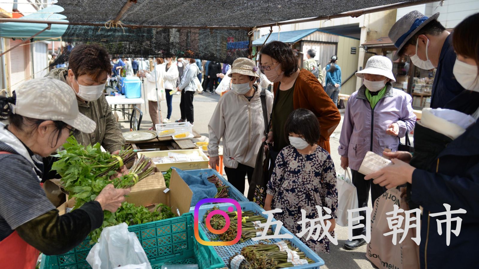 朝市活性化支援員Instagram