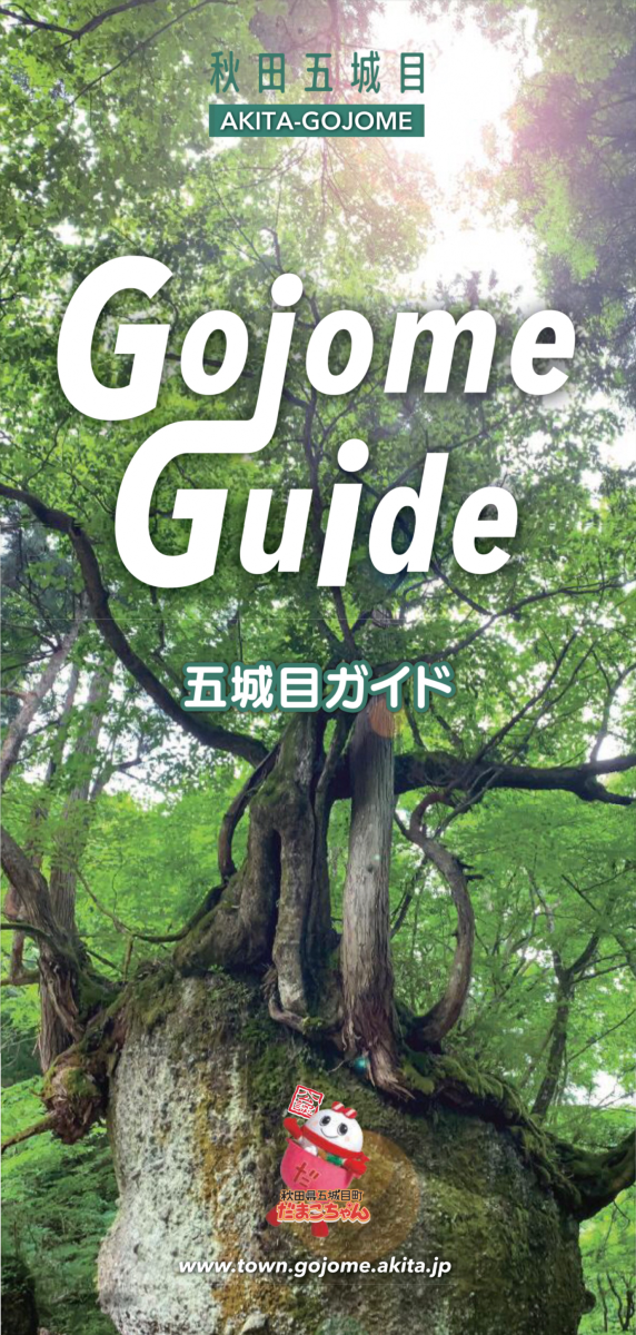 観光パンフレット