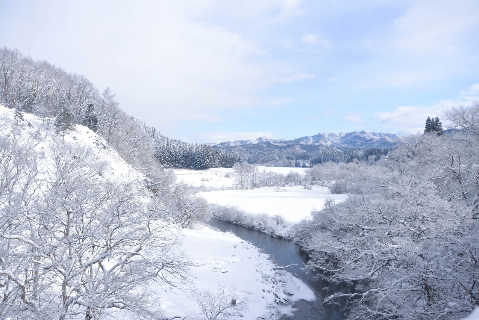 冬の馬場目川