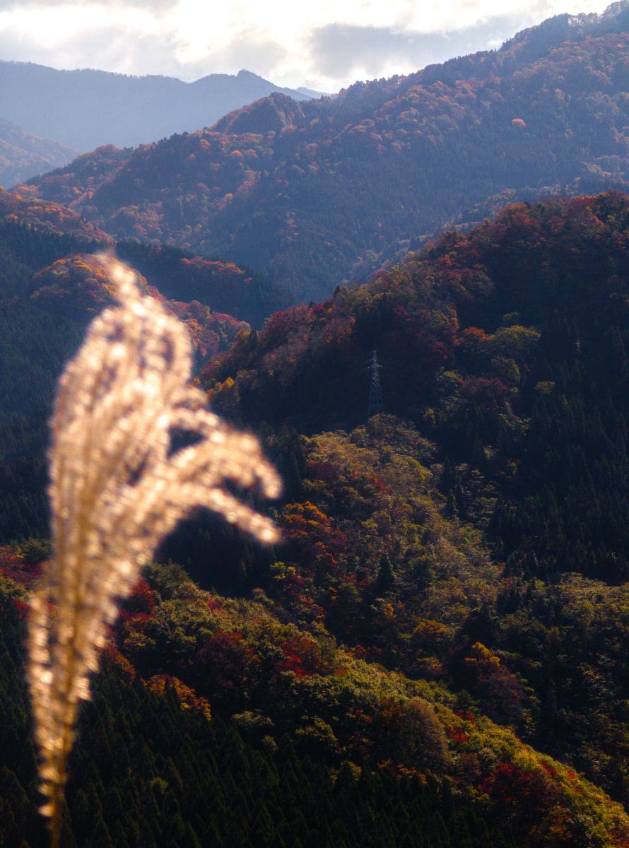 盛秋の馬場目