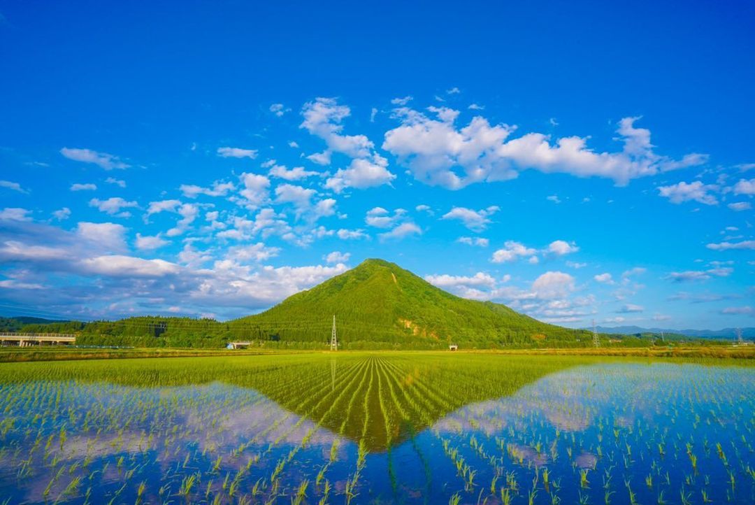 鏡田に映る晴天と森山