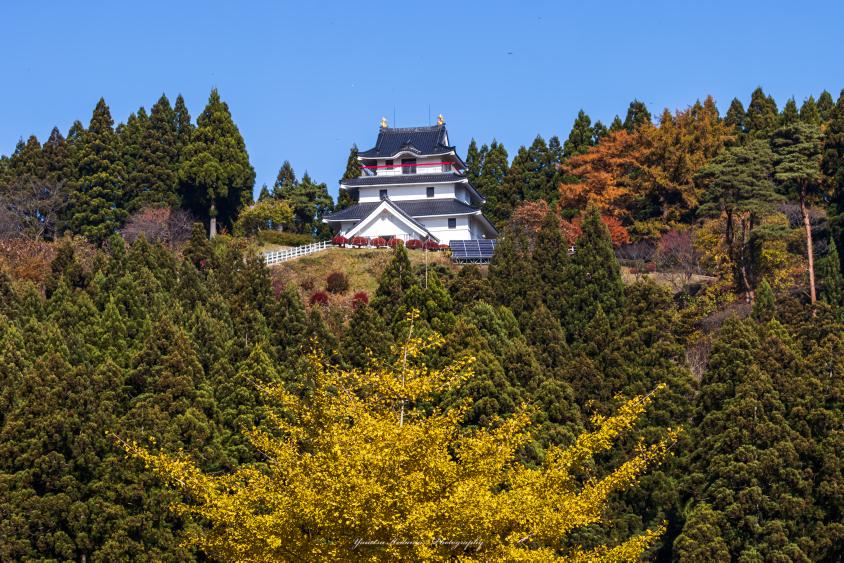 五城目城の秋