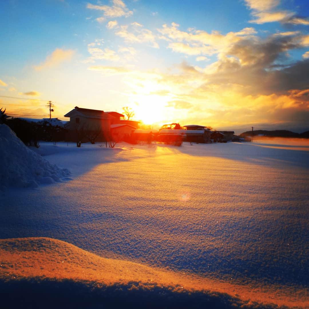 冬の朝の雪景色