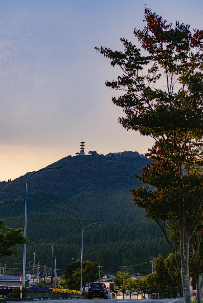 夕暮れ時の森山