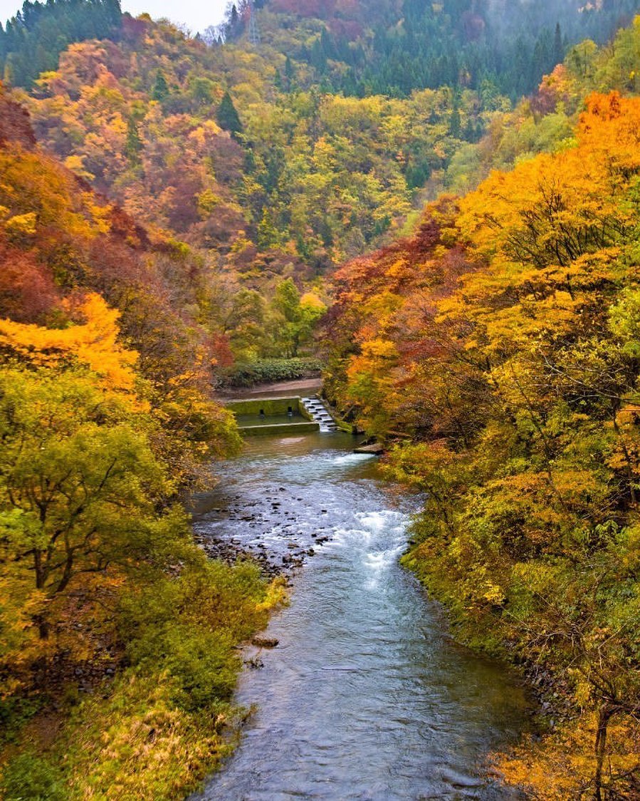 にぜのはしの紅葉